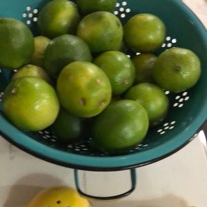 Meet your Posher, Janelle